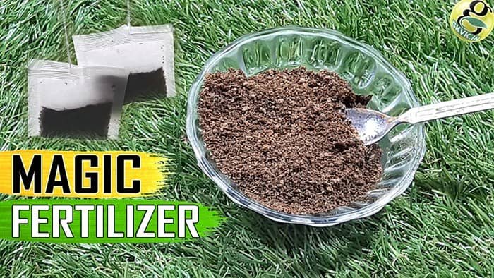TEA WASTE & COFFEE GROUNDS FOR PLANTS
