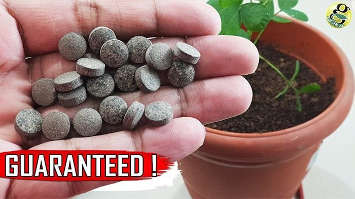 Mycorrhizae Booster Tablets Improve Plant Growth