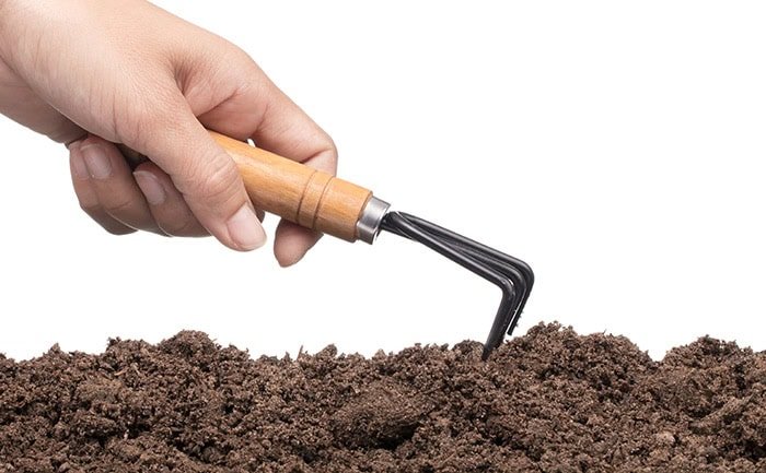 hand raking soil.