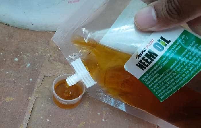 neem oil spray for rose plant