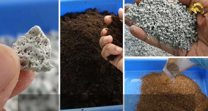 potting mix for indoor plants