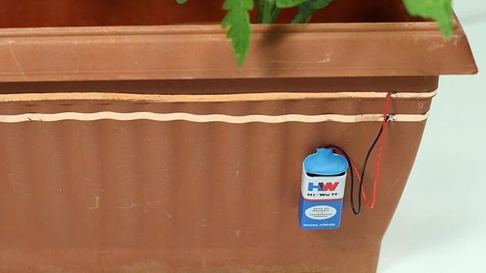 how to get rid of slugs and snails