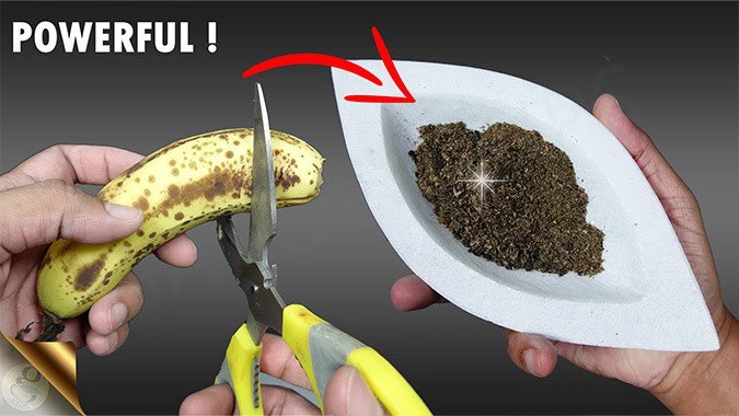 HOW TO MAKE BANANA PEEL FERTILIZER