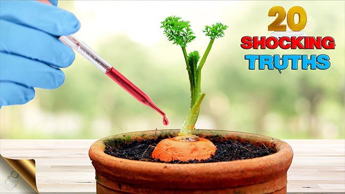 GARDENING MYTHS BUSTED