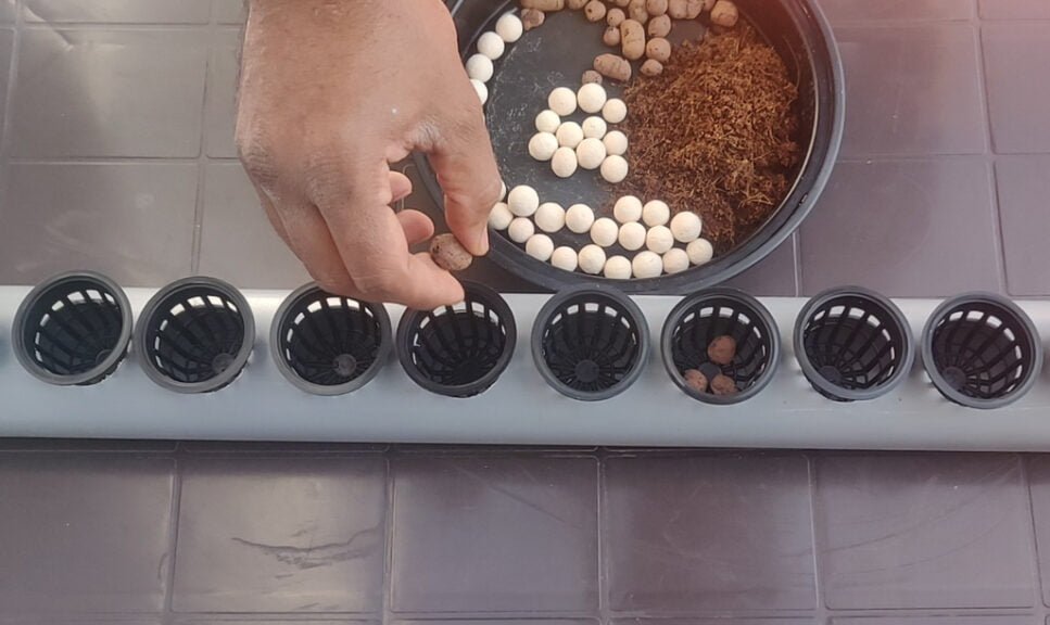DIY HYDROPONIC SYSTEM FROM RO WASTE WATER