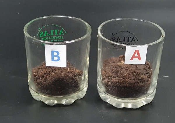 How to Test Soil PH