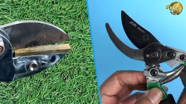 Bypass vs Anvil Pruners