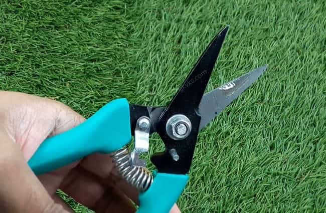 Floral Snip trimmer