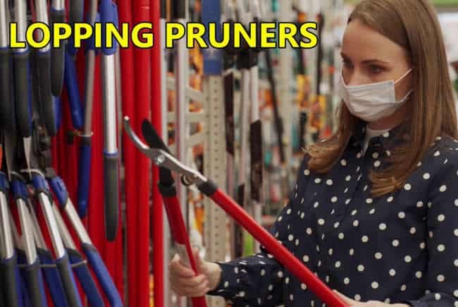 Lopping Pruner