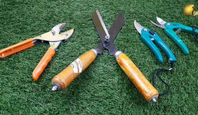 Pruning tools types