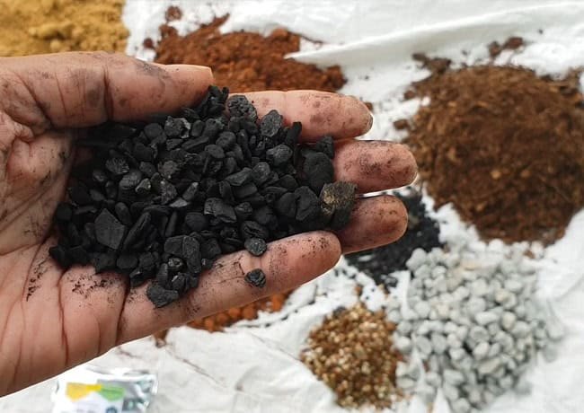 succulent potting mix