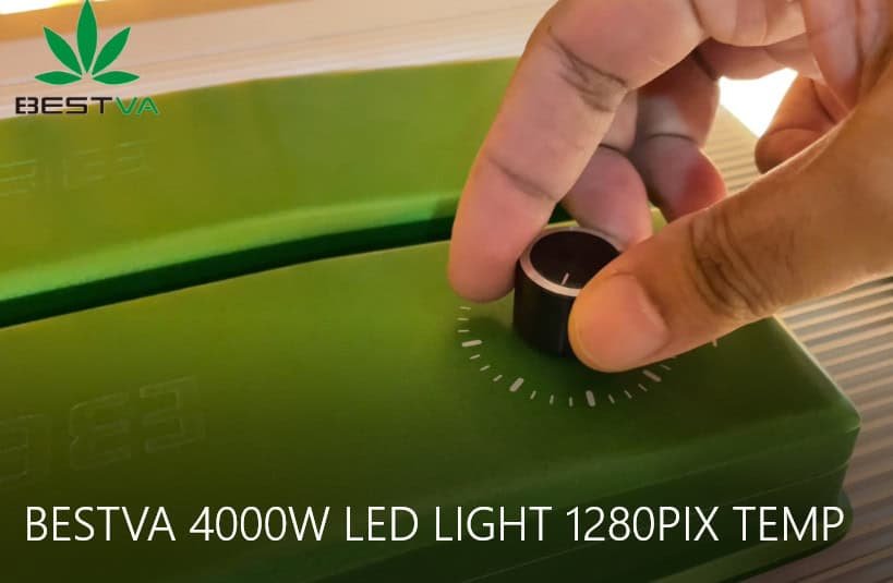 LED GROW LIGHTS