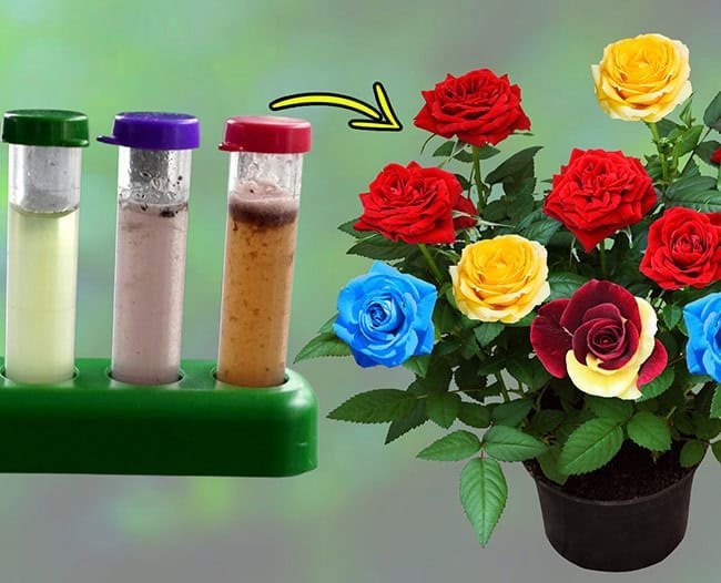 Soil PH Tester