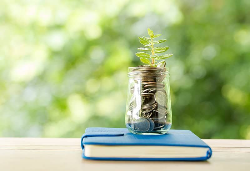 ARE GARDENING BOOKS WORTH IT