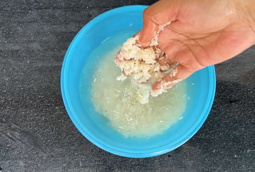 Rice water for plant growth