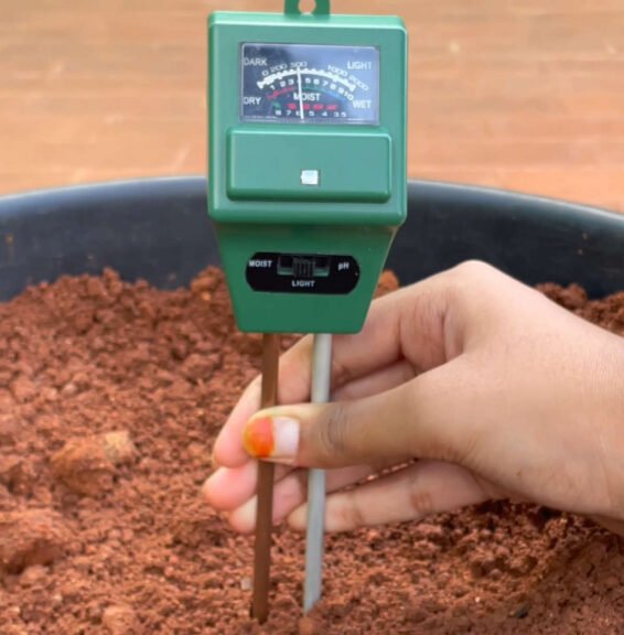 how to test soil ph using soil ph tester