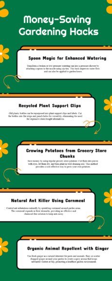fresh gardening hacks 2025.png